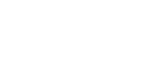 Qwit Pen